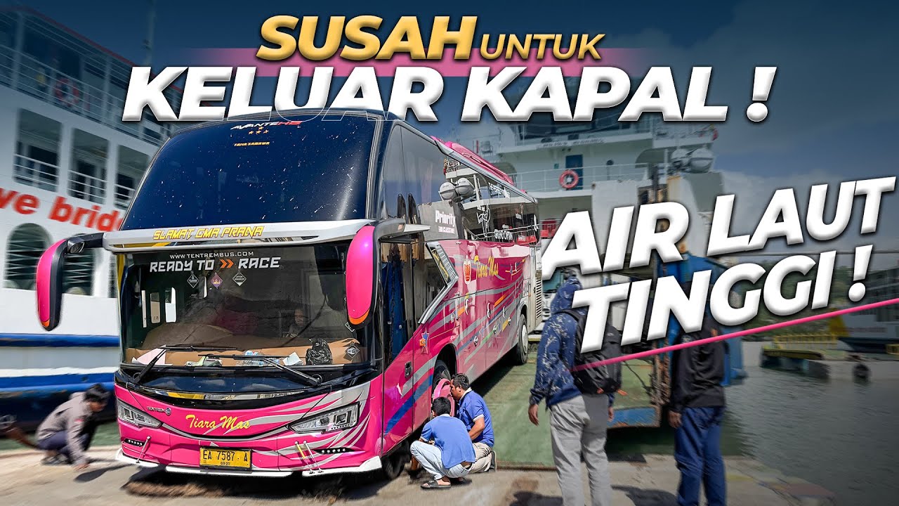 HARI KE 3 BARU SAMPAI TERMINAL MANDALIKA LOMBOK ‼️ Tiara Mas Jakarta Bima #6 