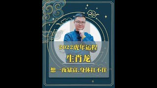 2022虎年生肖运程——龙