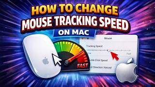 How to Change Mouse Tracking Speed on Mac (Step-by-Step Guide)
