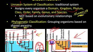 Classification Lecture