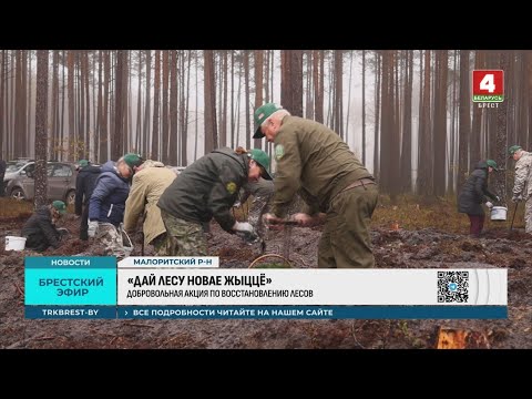 «ДАЙ ЛЕСУ НОВАЕ ЖЫЦЦЁ»