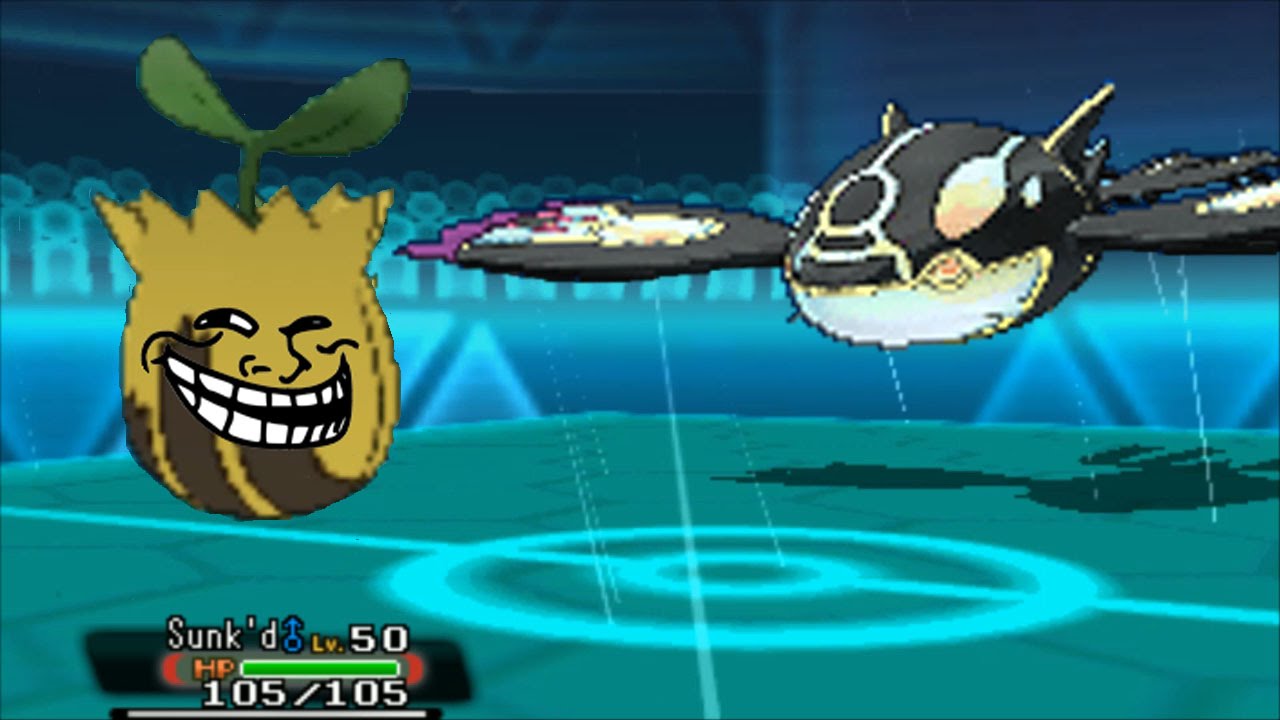 ★~EPIC SUNKERN SWEEP~★ #2