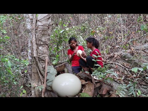 Video: Tree And Cane Egg