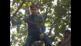 chore ge na hum tera sath o sathi
