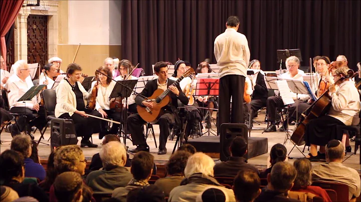 Daniel Reich - Concerto de Aranjuez - Joaquin Rodr...