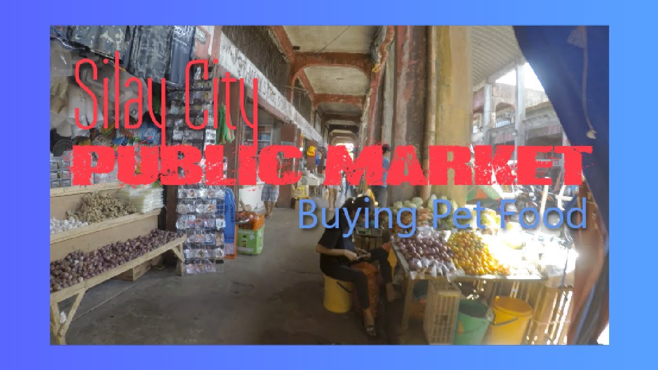 To Silay Public Market To Buy Pet Food YouTube