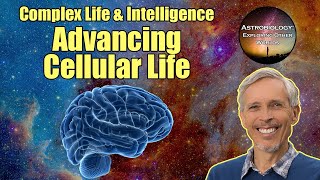 Advancing Cellular Life | Astrobiology Course 5.1
Learn the foundations of astrobiology from Professor Impey, a University Distinguished Professor of Astronomy at the University of Arizona, with our Astrobiology: Exploring Other Worlds course here on YouTube. This video is part of module 5, Complex Life & Intelligence.
Want to take the free course from start to finish, including assignments and quizzes to help your learning? Check out our course on Coursera: https://www.coursera.org/learn/astrobiology-exploring-other-worlds
Have questions about the content? We host live Q&A sessions on our sister channel Astronomy: State of the Art and on Twitch at TeachAstronomy, come join us and get your questions answered!
TeachAstronomy on Twitch: https://twitch.tv/teachastronomy
Astronomy SOTA: https://www.youtube.com/AstronomySOTA
#astronomy #space #astrobiology Advancing Cellular Life | Astrobiology Course 5.1