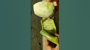 I like the red prickly pear a little bit more
