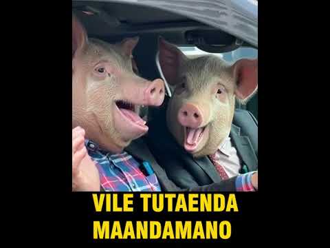 Vile Tutaenda Maandamano Siku Ya 29 Oktoba Nchini Tanzania Samia Kwisha