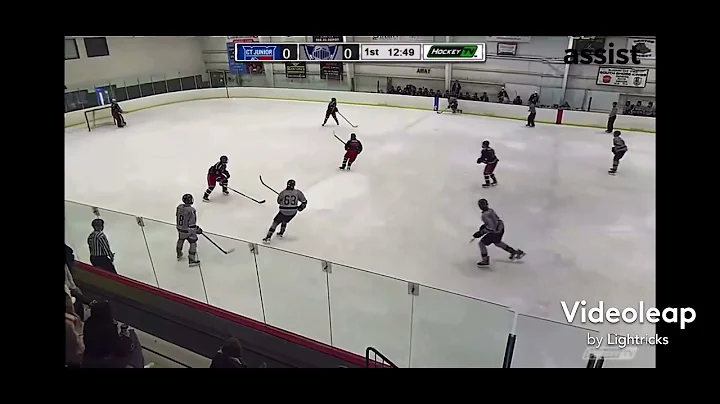 Matthew Gough hockey highlights 2021/22 wilkes bar...