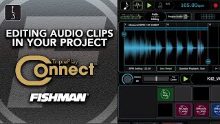 TP 12 - TriplePlay Connect - Editing Audio Clips in Your Project screenshot 5