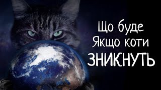 Що Буде, Якщо Всі Коти На Землі ЗНИКНУТЬ. Теорія