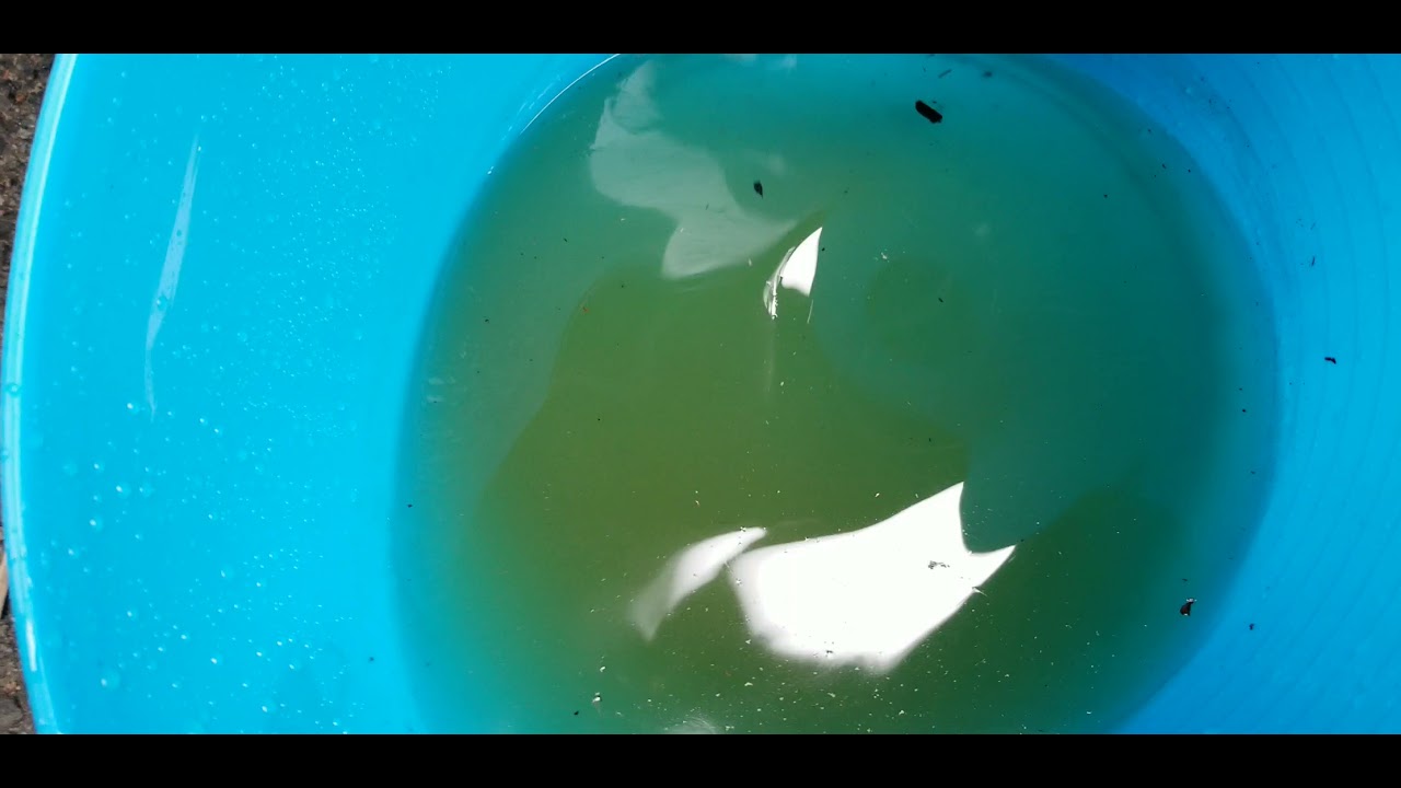 1995 Ford Econoline E250 thermostat housing Crack/ Coolant leak YouTube