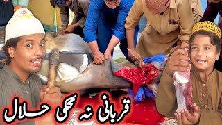 Qurbani Ghat Akhter || Pashto New Funny Videos 2022 By Tuti Gull Vines