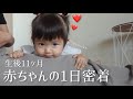 【1日密着】生後11ヶ月赤ちゃんの平日ルーティーン👶成長と共に新しい遊びがたくさん増えました🧸