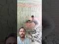 Technique wall plaster lipai #wall #construction #work #shorts