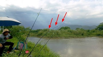 Câu cá Suối | nay cá chạch chịu ăn rồi