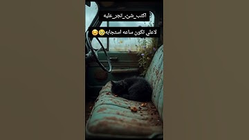 تلاوة عطره من القران الكريم. لي شيخ عبد الرحمن مسعد صوت من جنهاطفال احباب الله ♥ نصرهو الله.