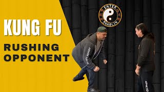 How To Deal With A Charging Opponent: Kung Fu Training Question