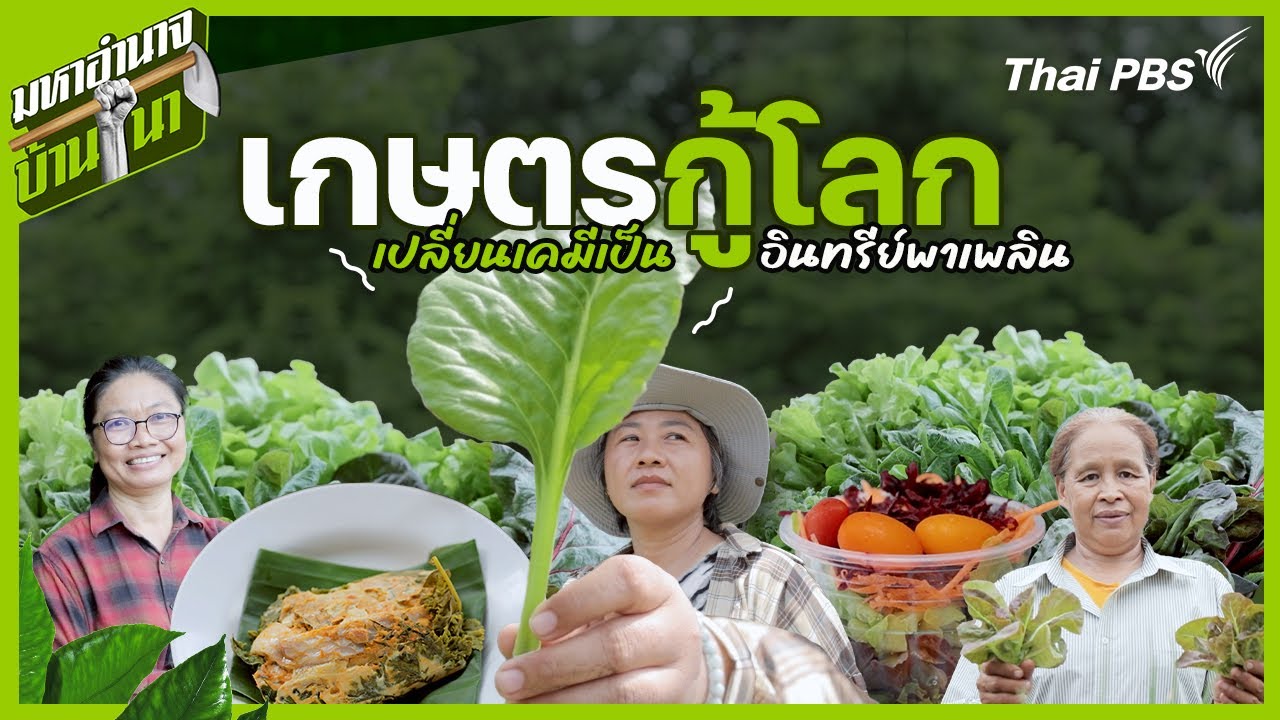 เกษตรกู้โลก เปลี่ยนเคมีเป็นอินทรีย์พาเพลิน | มหาอำนาจบ้านนา