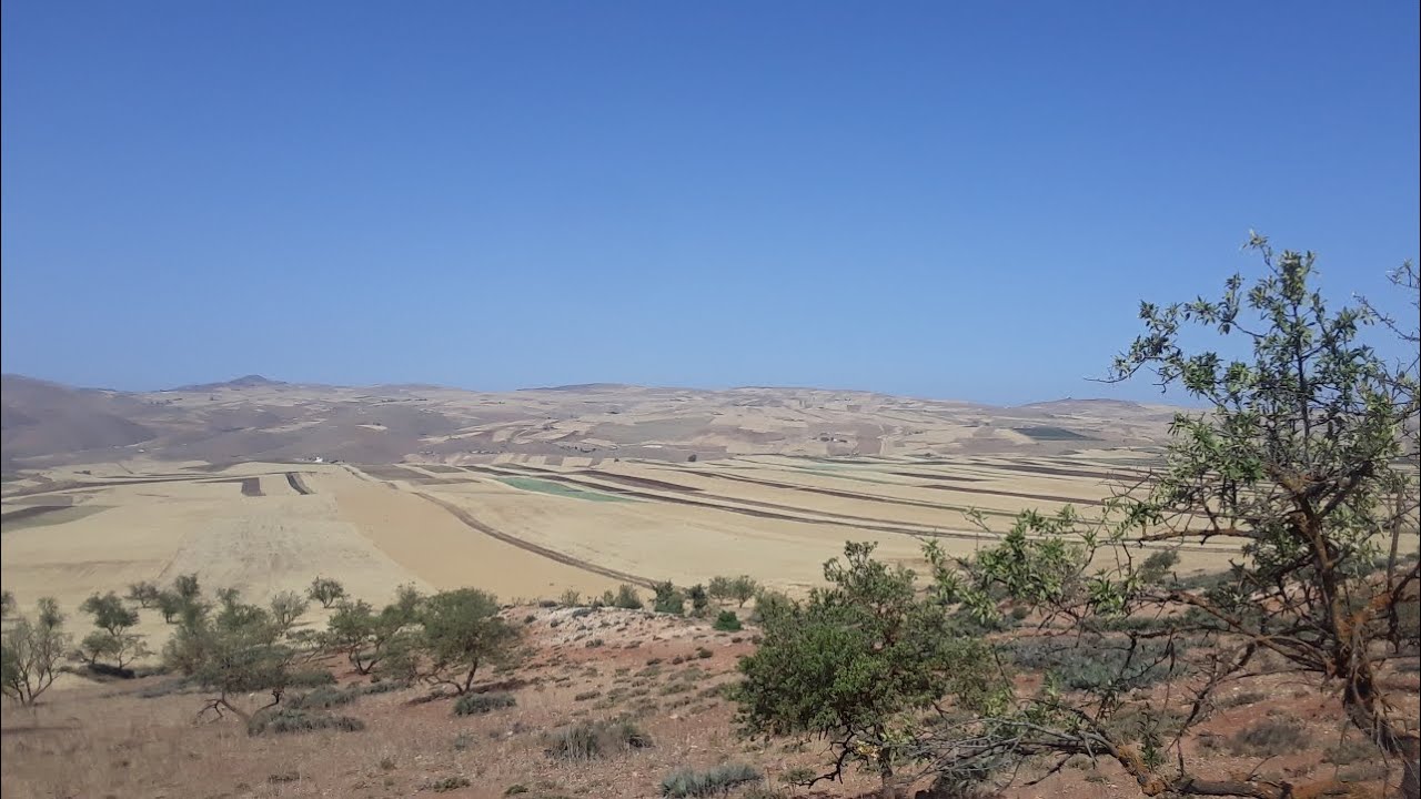 رحلة إلى قمة تامشاشاط: سحر الحصاد واللون الذهبي في ضواحي مكناس، المغرب 🇲🇦