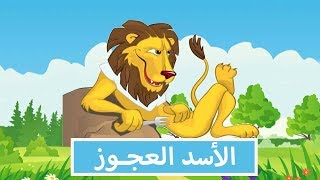 حكايات جدي   الأسد العجوز - اسمعها