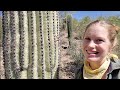 Sonoran Desert Field Trip: Plant Adaptations!