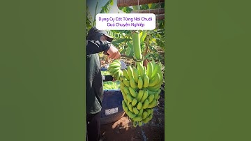 Có dụng cụ này thì làm vừa nhanh nải chuối cũng đẹp nữa #shorts