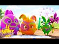 SUNNY BUNNIES - Face Drawings | Season 4 | Cartoons for Children