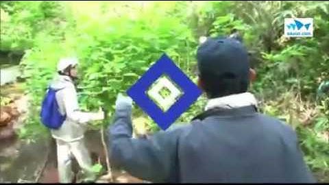 Cậu bé 7 tuổi người Nhật Bản - đã được tìm thấy sống sót sau khi bị bố mẹ phạt và bỏ rơi trong rừng