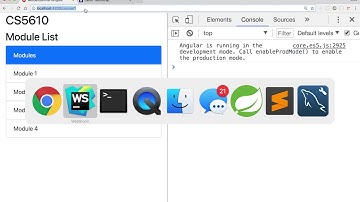 M5L2 3 embedding nested angular components