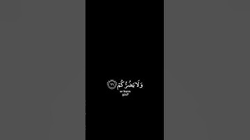 قال افتعبدون من دون الله | تلاوة مريحه للقلب | تلاوة: #اسلام_صبحي #كرومات_قرآن #كرومات