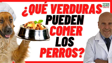 ¿Qué verduras no se pueden dar de comer a los perros?