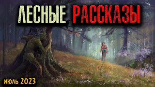 видео: ЛЕСНЫЕ РАССКАЗЫ | Страшные истории картинка: ЛЕСНЫЕ РАССКАЗЫ | Страшные истории