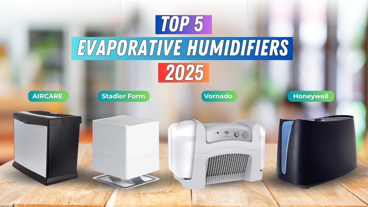 Naturally Existing Humidifier ️ Top 4 Best Evaporative Humidifiers | Clean, Natural Moisture for Your ...