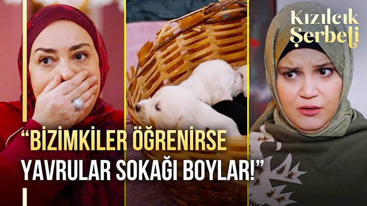 Nilay’ın zor bela sakladığı köpekler açığa çıkıyor! | Kızılcık Şerbeti 86. Bölüm