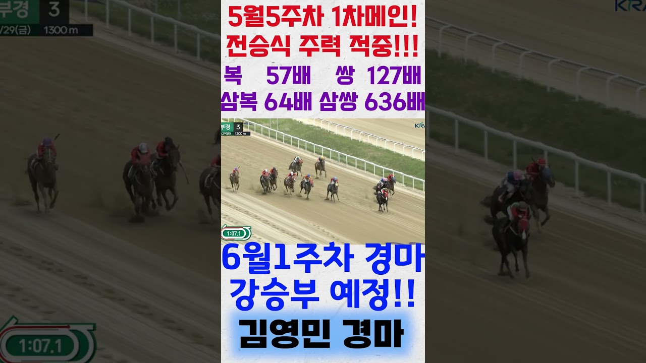 김영민경마 부경 5월5주차 금요일 3R 1차메인 고배당 전승식주력 적중!!