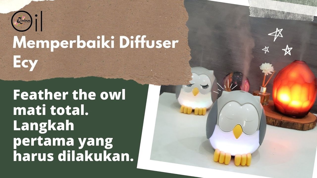 [Ecy] Membetulkan diffuser Young Living tipe Feather the Owl mati total ...