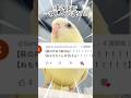 【検証】萩の月に似過ぎてるインコ、重さまで一致してるって本当？【サザナミインコ】
