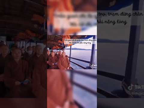 Video ???? Trần gian chỉ là quán trọ, trạm dừng chân ???? Hà cớ... - youtube