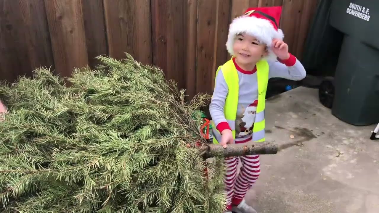 Christmas Tree Pick Up