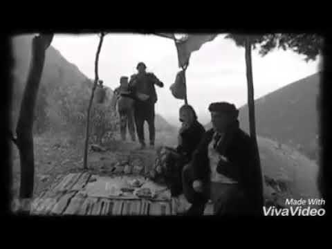 حالات واتس اب 2018 رفقة عمر انا وياك يا رفيقي ضيعة ضايعة