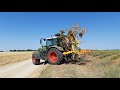 FENDT 720 vario au binage de Lavandin. Plateau de Valensole / Brunet. Août 2019.