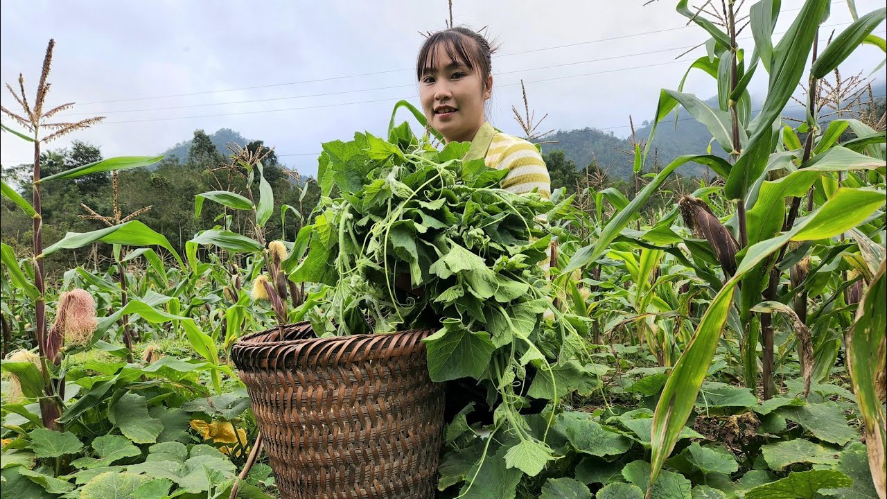 Picking bamboo shoots and vegetables to bring to the market to sell