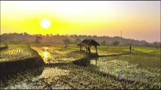 Hariring Sunda Papatong