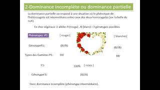 monohybridisme هجونة أحادية