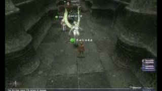 Petropolis LS Bahamut