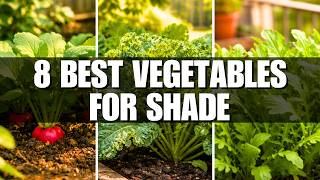 8 Vegetables That Grow in Shade (Perfect for Small Gardens)
