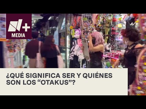 ¿Qué es un