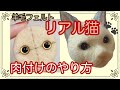 初心者さんもスグに出来る羊毛フェルト猫ブローチ(*ΦωΦ*)の作り方《Lesson2:お顔の肉付け編》
